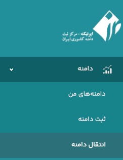 انتقال دامنه در ایرنیک